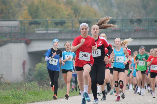 k-2024_crosscountry-land 237